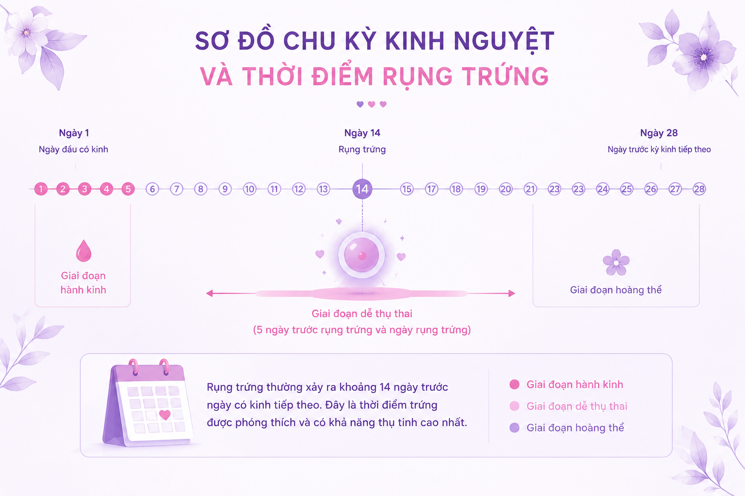 QUY TRÌNH SỬ DỤNG QUE THỬ RỤNG TRỨNG ĐỂ TĂNG CƠ HỘI THỤ THAI 1